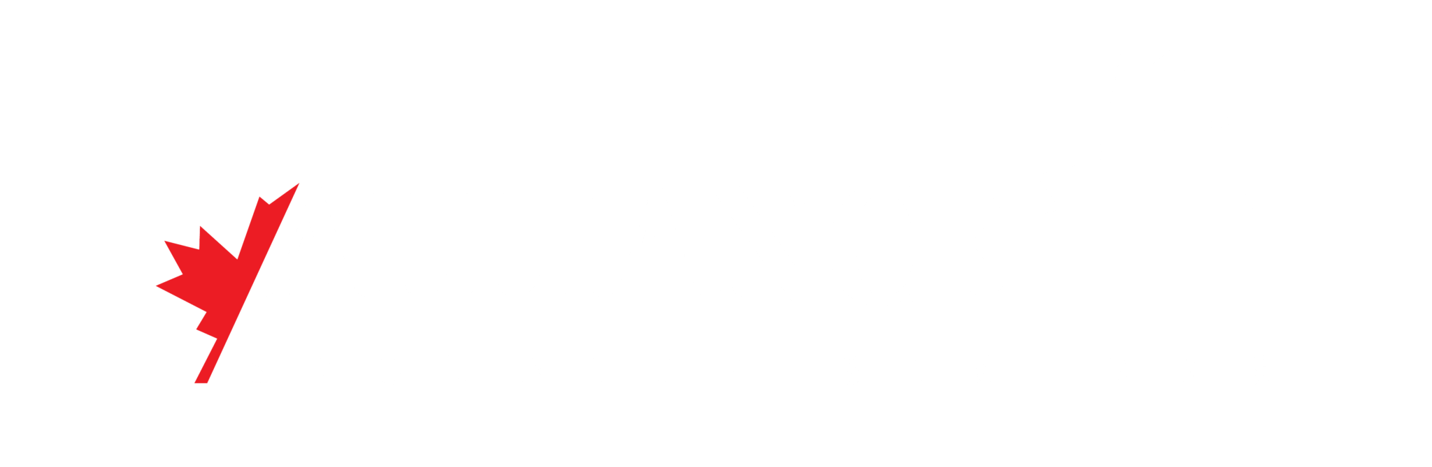 Alliance Security Systems Mexico