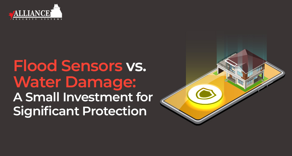 Flood Sensors vs. Water Damage: A Small Investment for Significant Protection