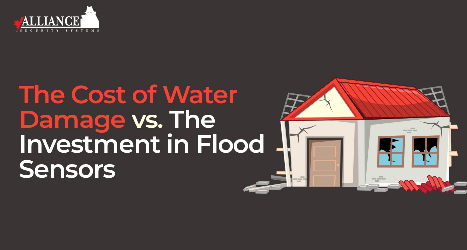 The Investment in Flood Sensors